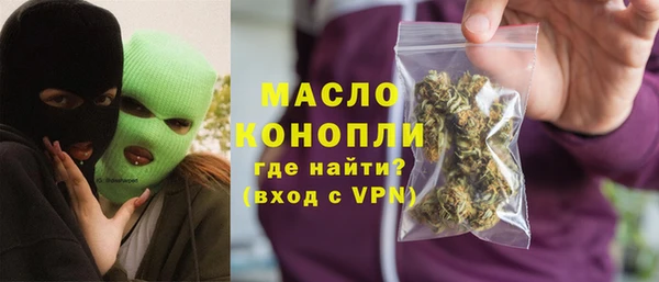 mix Богородицк